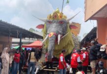 Karnaval HUT RI ke-81 di Desa Alam Endah Meriahkan Kemerdekaan dengan Karya Kreatif Warga