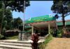 Dari Kebun Kolonial hingga Pusat Riset, Gambung Jadi Episentrum Perkembangan Teh Indonesia
