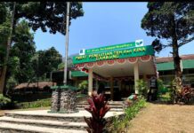 Dari Kebun Kolonial hingga Pusat Riset, Gambung Jadi Episentrum Perkembangan Teh Indonesia